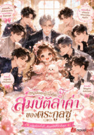 novelpds956